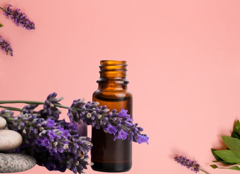 ulje lavande na roze pozadini sa lavandom okolo